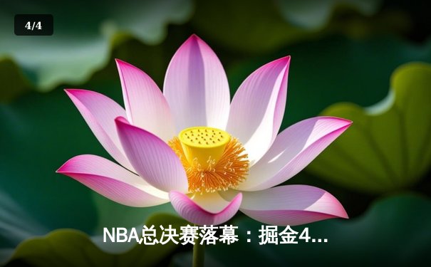 NBA总决赛落幕：掘金4-1击败热火首夺总冠军，约基奇荣膺FMVP - 4